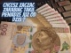 ogl2/latwa-dodatkowa-praca-zdalna-w-domu-przez-internet/2/47924/1/1/118/914/917/955