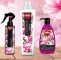ogl2/dedra-innovations-dolacz-do-nas!/2/37559/1/1/117/750/760/3281