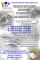 ogl2/wakacyjny-kurs-rysunku-elipsa-2021/2/45605/1/1/42/694/709/2865