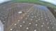 ogl2/monter-na-farmie-solarnej-ecotec-polska-sp-z-oo/2/16902/1/1/3487/714/747/3205