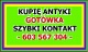 ogl2/kupie-antyki-starocie-za-gotowke-skupuje/2/44067/1/1/3650/809/832/1648
