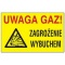 ogl2/gaz-kontrola-szczelnosci-instalacji-gazowych/2/11091/1/1/144/694/709/709