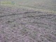 ogl2/dzialka-rolna-1-ha-na-sprzedaz-nekla-tel661745738-obok/2/3127/1/1/551/789/804/1802
